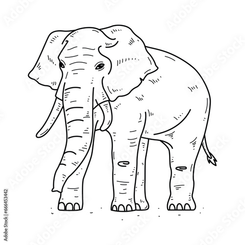 Fototapeta Naklejka Na Ścianę i Meble -  Hand drawn elephant outline illustration