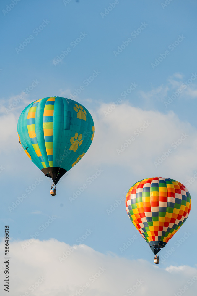 Naklejka premium hot air balloon