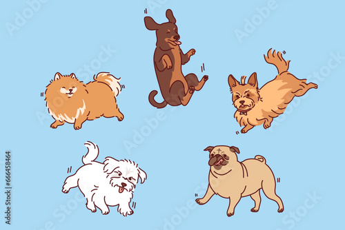 Dogs and puppies of different breeds fly in air with various emotions for concept veterinary clinic or pet products. Hovering dogs to advertise zoo services or nurseries to find new homes for puppies