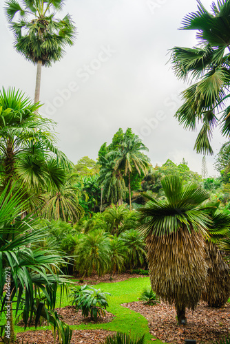 Singapore Botanical Gardens