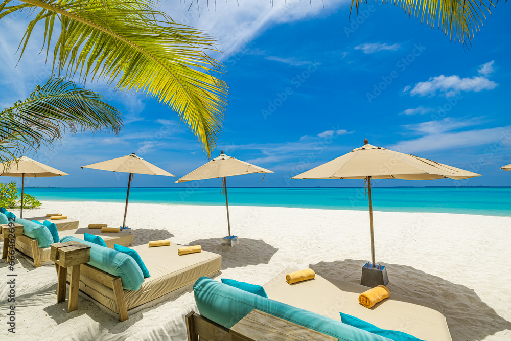 Exotic beach resort. Tropical paradise beach sea sand sky coconut palm trees travel tourism. Chairs umbrella love couple. Luxury best vacation popular holiday destination. Beautiful island background