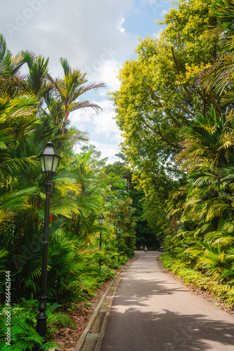Fototapeta Naklejka Na Ścianę i Meble -  Singapore Botanical Gardens