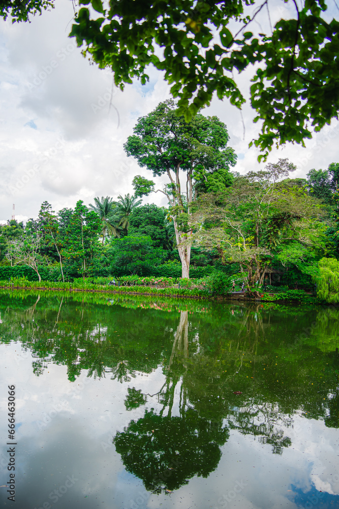 Singapore Botanical Gardens Singapore Botanical Gardens