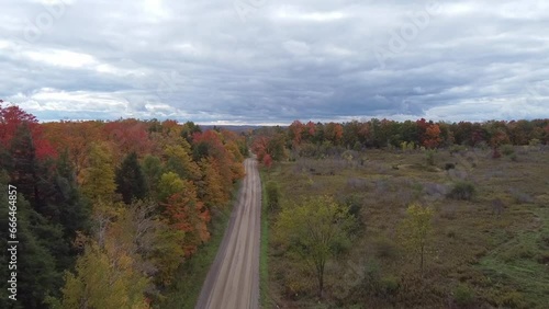 Aerial View Of Peak Fall Colours In Caledon, Ontario photo