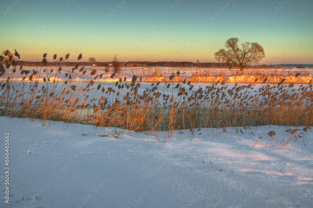 Landscape winter frosty sunny day, blue sky, sundown snow, Poland Europe	
