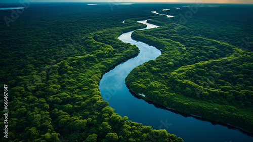 River in the jungle seen from above. Nearby Manaus