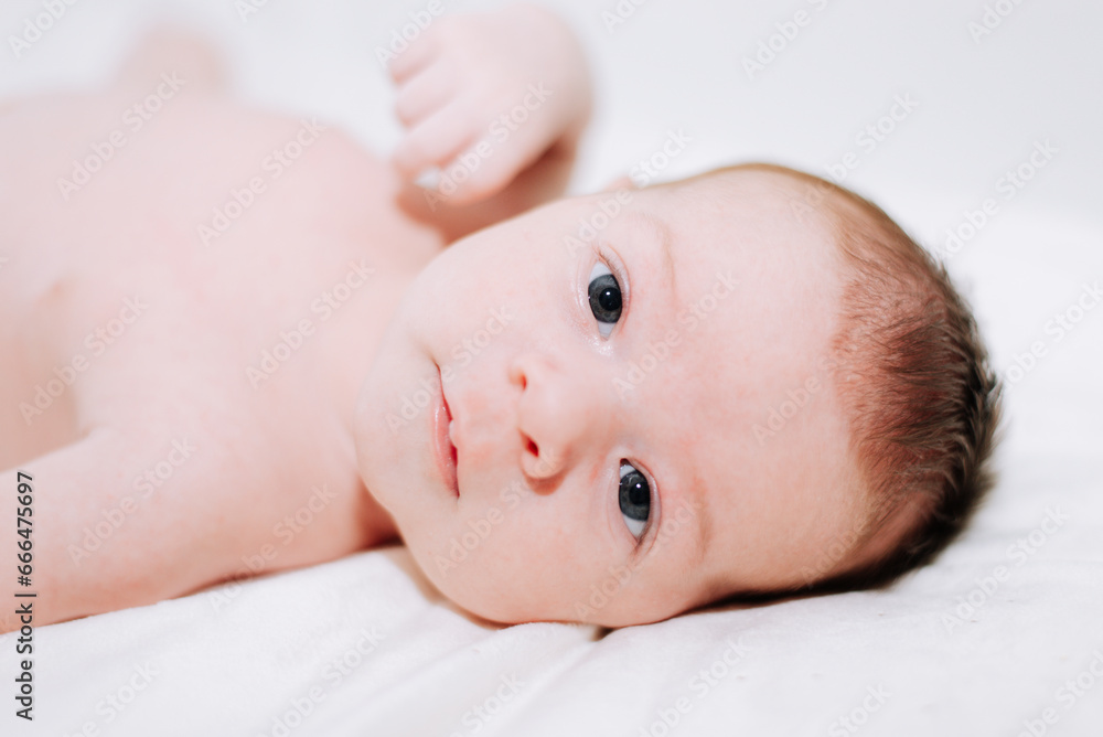 portrait of a newborn in studio lighting against white portrait of a newborn in studio lighting against white