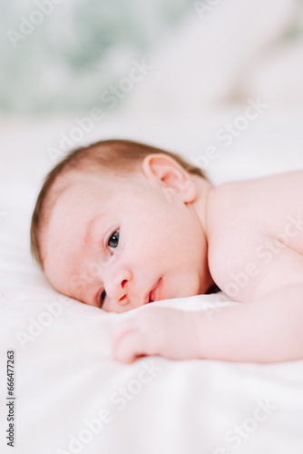 portrait of a newborn in studio lighting against white