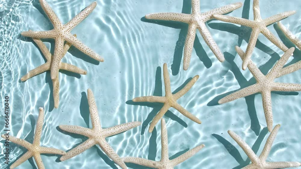 Pure water and starfish with reflections sunlight in slow motion. Water surface texture top view. Sun and shadows. Motion clean swimming pool ripples and wave. . High quality 4k footage Pure water and starfish with reflections sunlight in slow motion. Water surface texture top view. Sun and shadows. Motion clean swimming pool ripples and wave. . High quality 4k footage