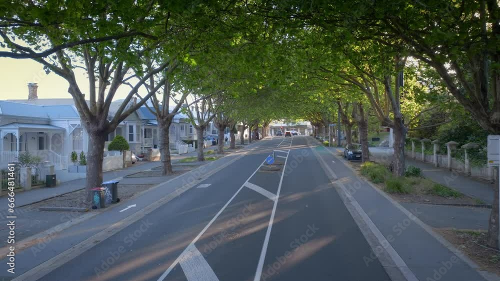 Aerial: Franklin road in the leafy suburb of Ponsonby, Auckland, New Zealand Aerial: Franklin road in the leafy suburb of Ponsonby, Auckland, New Zealand
