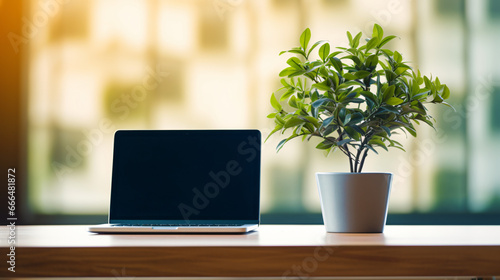 Laptop computer and a potted plant