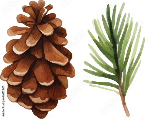 Childishly drawn cute watercolor Christmas pine cones on white background