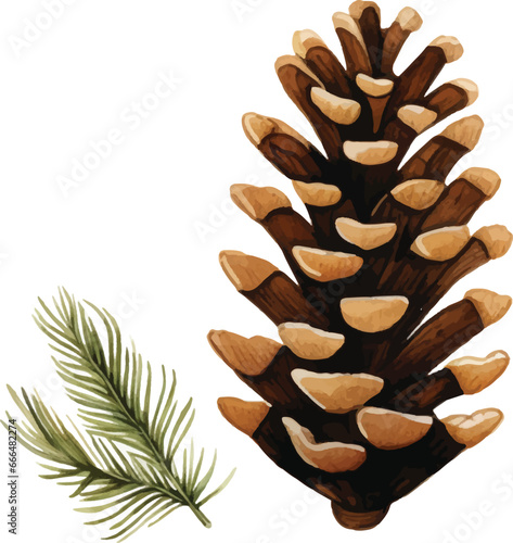 Childishly drawn cute watercolor Christmas pine cones on white background