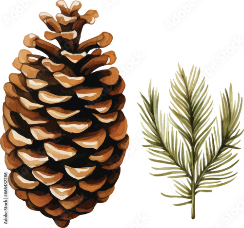 Childishly drawn cute watercolor Christmas pine cones on white background
