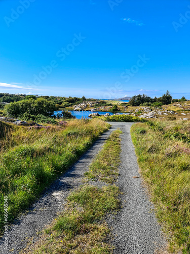 Little pond close to lough Waskel by Burtonport, County Donegal, Ireland - Seen from the Railway walk photo