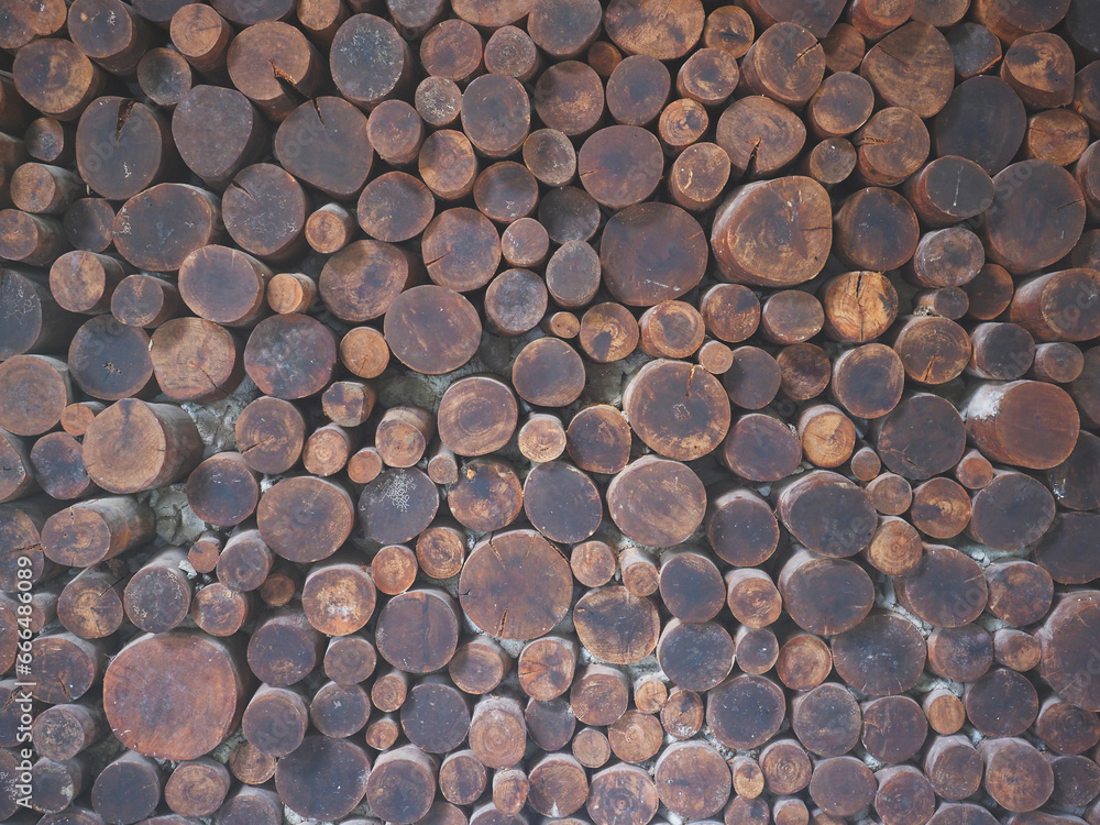 stacked wooden cut logs texture background. stacked wooden cut logs texture background.