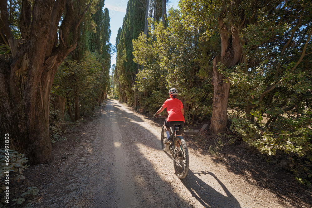 Fototapeta premium nice senior woman riding her electric mountain bike in a cypress avenue in the Ghianti Area of Tuscany,Italy