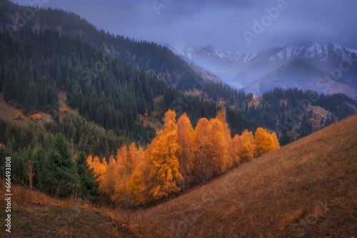 Beautiful mountain landscape on a gloomy autumn day, Tien Shan Range near city of Almaty in Kazakhstan, Kimasar Gorge © Lana Kray