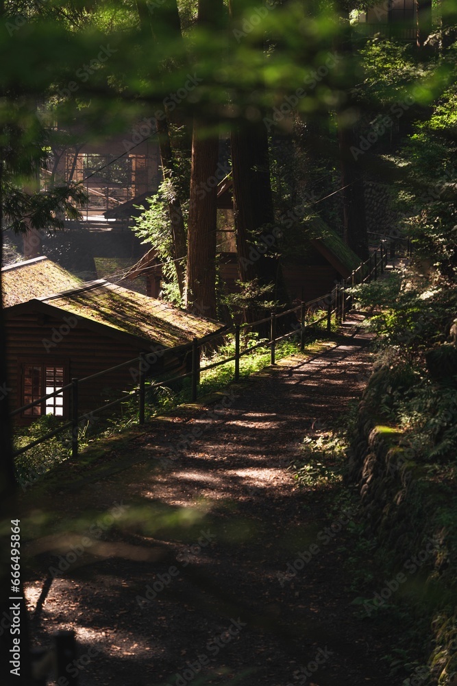 Small wooden cabin in the middle of a lush and dense forest, surrounded by trees in Okutama, Japan Small wooden cabin in the middle of a lush and dense forest, surrounded by trees in Okutama, Japan