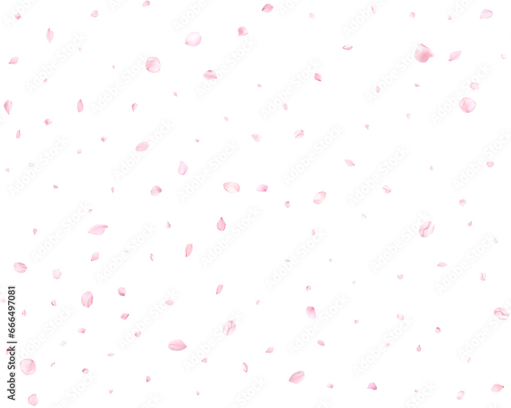 Falling realistic cherry petals.