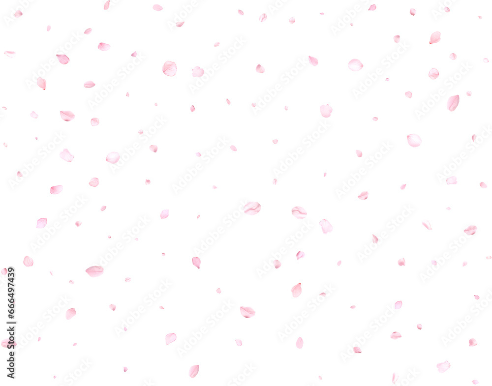 Falling realistic cherry petals.