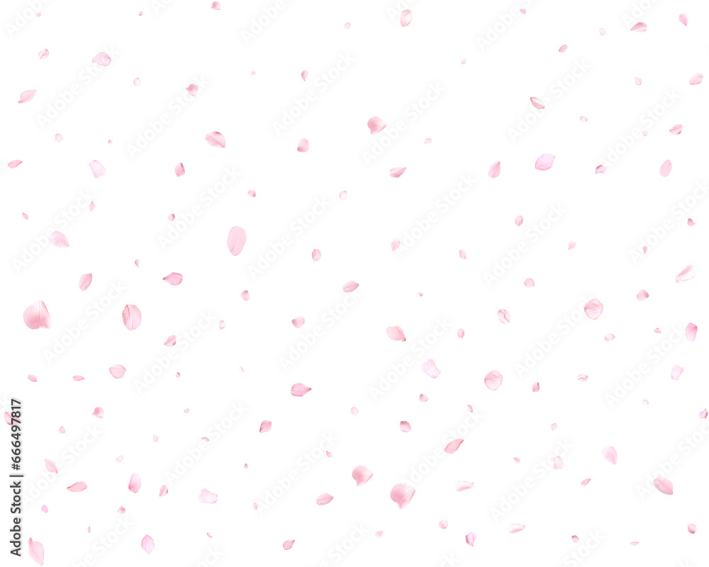 Falling realistic cherry petals. Falling realistic cherry petals.