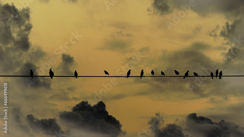 flock of birds on a wire fence white grey sky background © Alextra