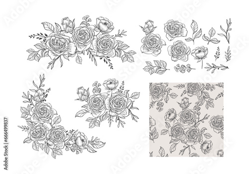 illustration of a rose, Rose logo, vector, line art, sketch rose logo, flower logo, rose set, background. vector logo