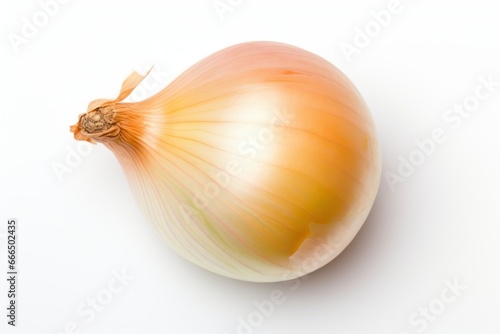 onion on white background top view,top view