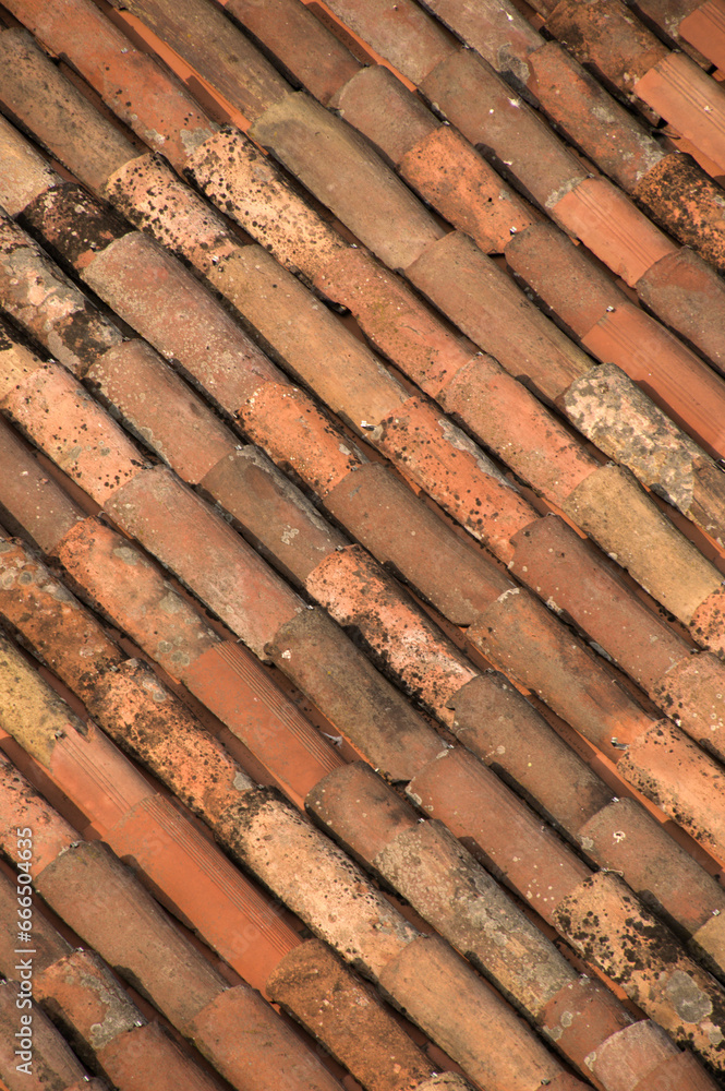 Terracotta roof tiles in Bergamo, Lombardy Terracotta roof tiles in Bergamo, Lombardy