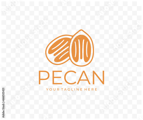 Pecan nut, nutty, food, meal, plant and nature, graphic design. Fruit, kernel, seed, nourishment, eating and eat, vector design and illustration