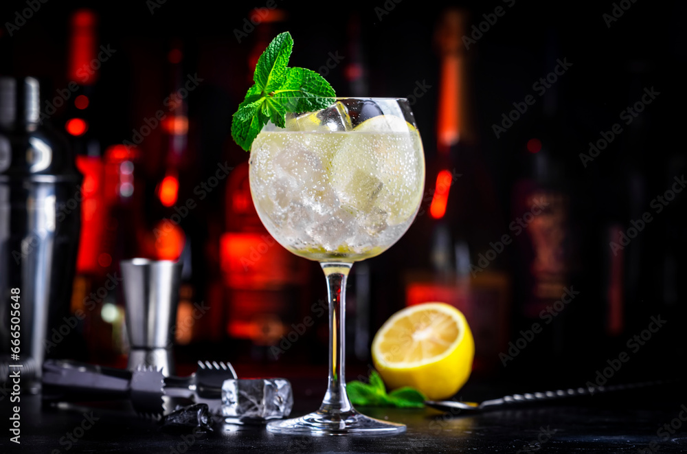 Martini tonic cocktail with vermouth, tonic, lemon, mint and ice. Black