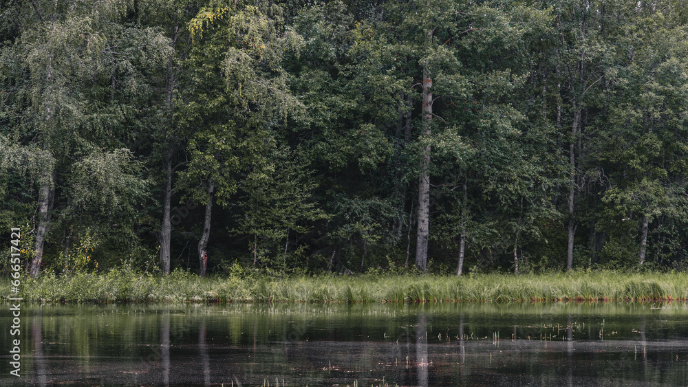 Obraz premium the pond