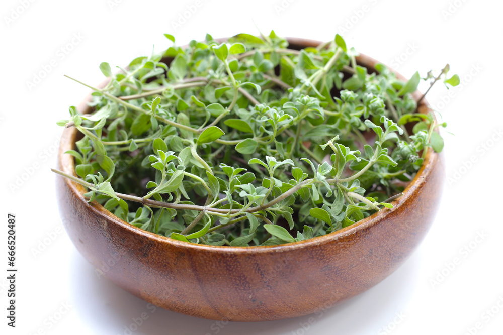 Fresh marjoram on white background. Fresh marjoram on white background.
