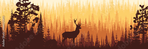 Deer in the forest, morning light, panoramic view, vector illustration	