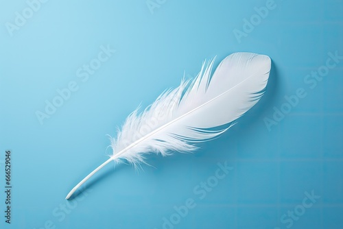 Blue background with a white feather s shadow