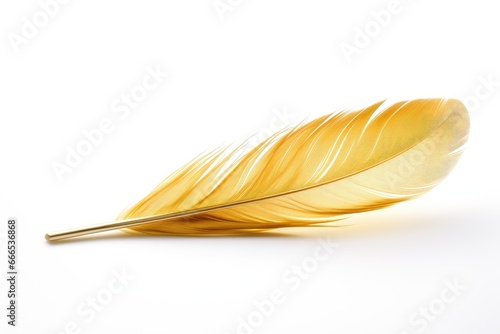 White background with a golden feather