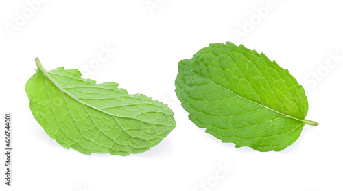 Mint leaf isolated on white background.