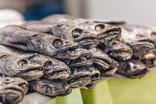 Fotografie Pile of Merluccius merluccius, the European hake at the Cadiz fish market in Spain