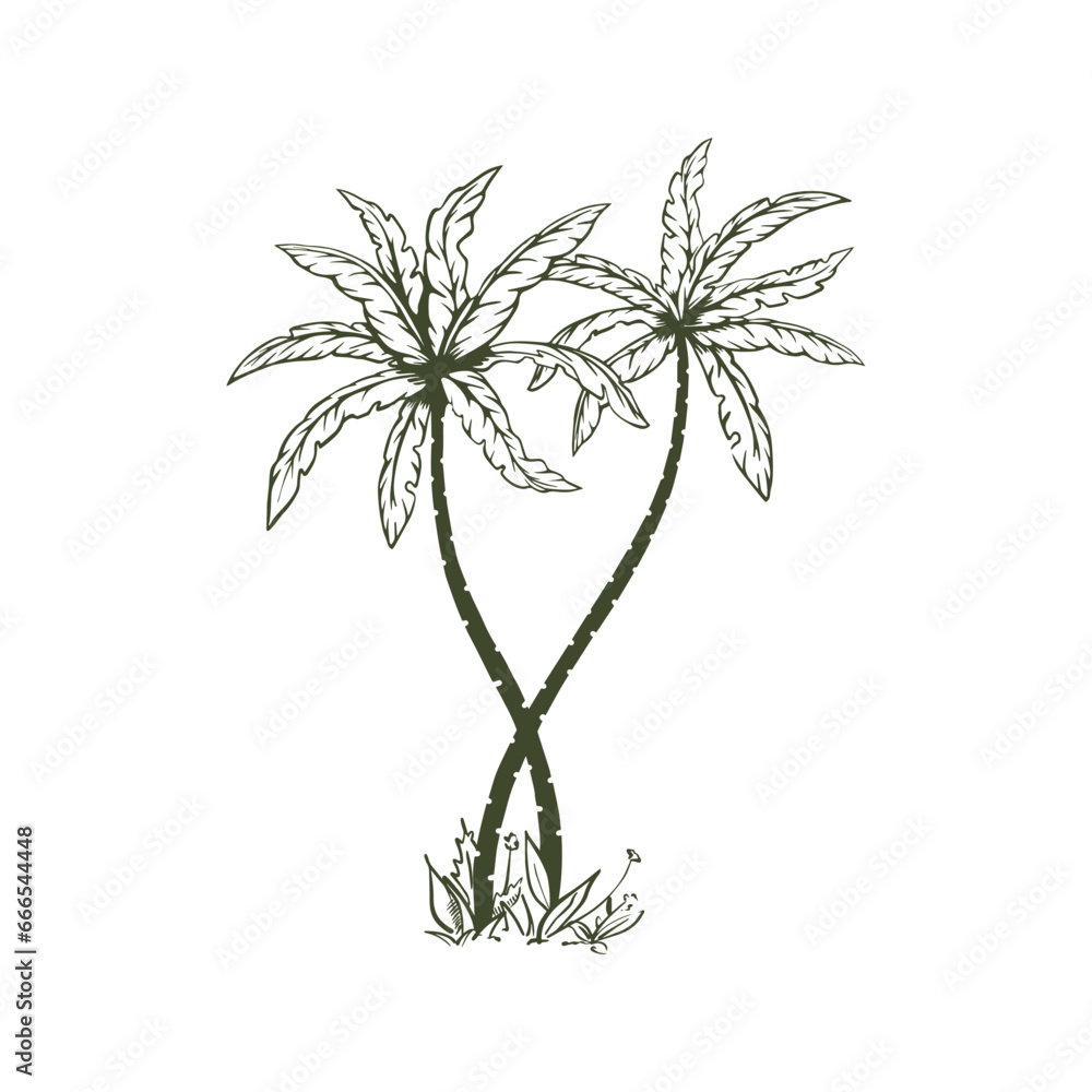 Palm tree hand drawn in sketch style. Illustration for advertising summer travel. Isolated on white background. Vector. Palm tree hand drawn in sketch style. Illustration for advertising summer travel. Isolated on white background. Vector.