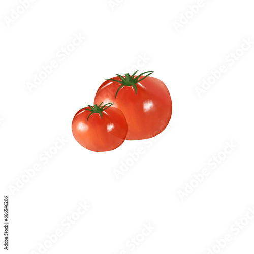 tomato isolated on white background photo