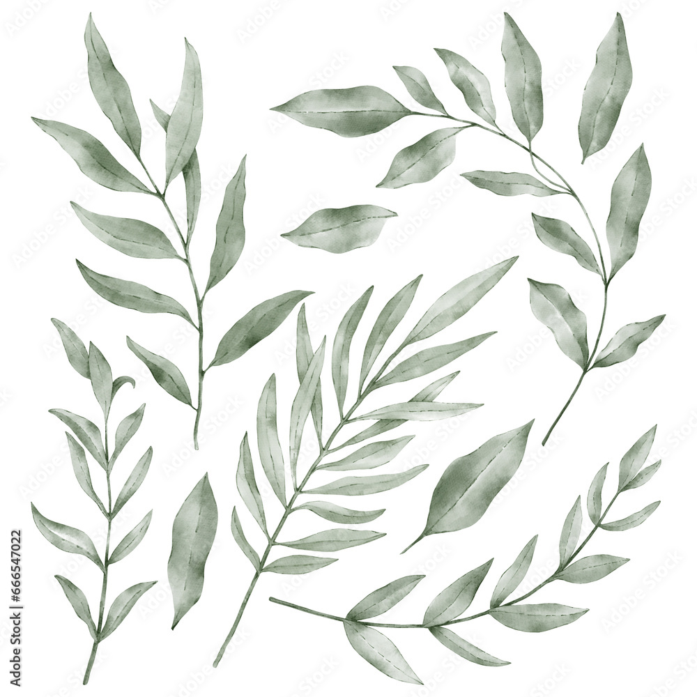Set of green thin leaves Set of green thin leaves