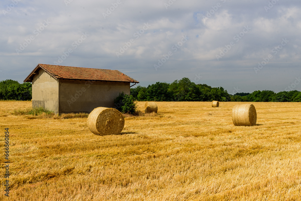 Fototapeta premium Casolare nel campo