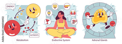 Endocrine system organs and disease set. Human glands function. Pituitary