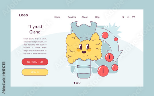 Endocrine system organ and disease. Human gland function. Thyroid