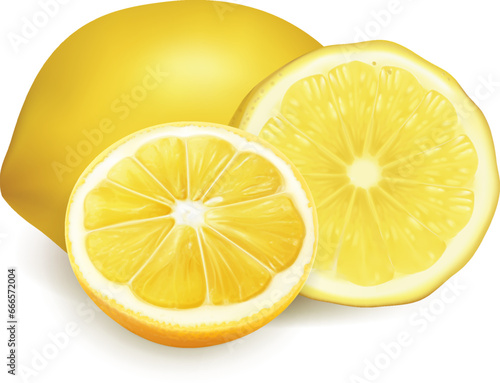 Fresh Lemon Orange Fruits Isolated Illustration