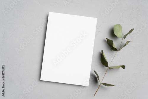 Empty paper greeting card with eucalyptus twig decor on grey background
