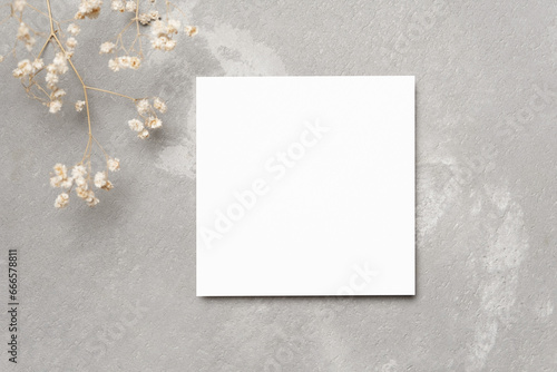 Floral greeting card mockup with gypsophila flowers for a quote on trendy grey background, square card mock up
