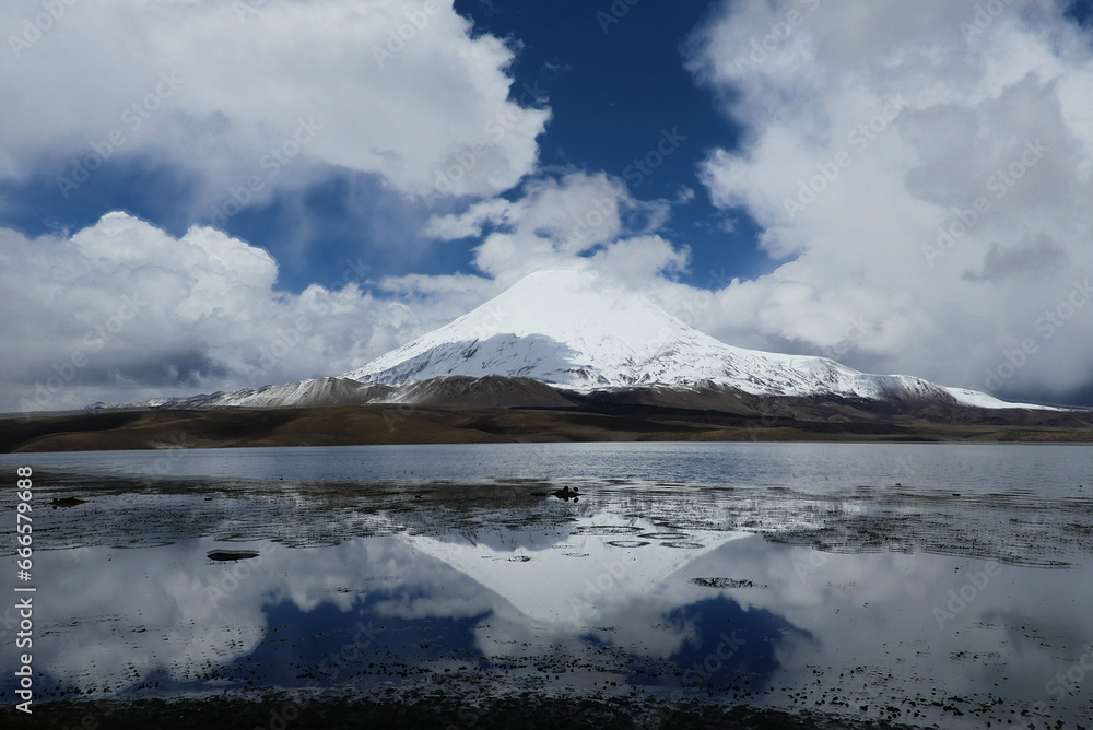 Chungara volcano reflected on the lake. At 4500m. Andes Chungara volcano reflected on the lake. At 4500m. Andes