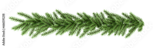 Christmas tree branches on white